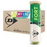 Dunlop Fort All Court Cartone da 18 Tubi